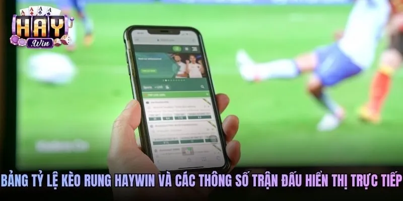 Bảng tỷ lệ kèo rung Haywin và các thông số trận đấu hiển thị trực tiếp