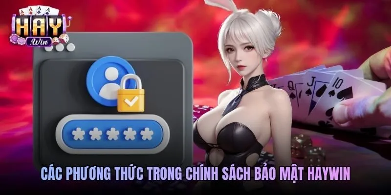 Các phương thức trong chính sách bảo mật Haywin