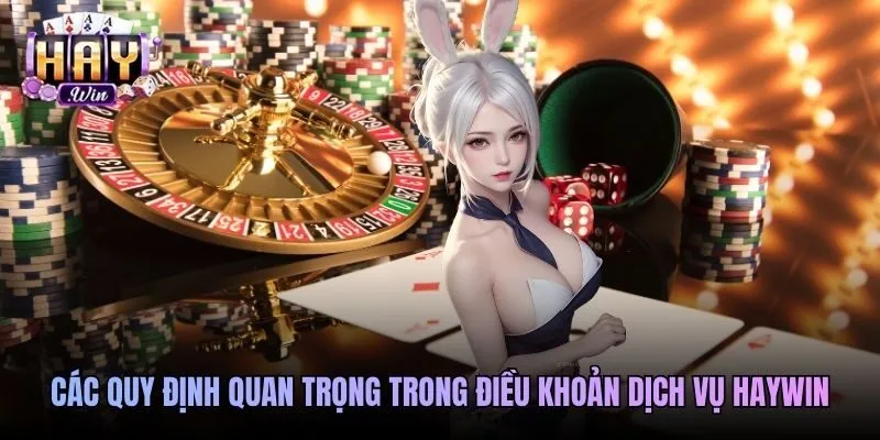 Các quy định quan trọng trong điều khoản dịch vụ Haywin
