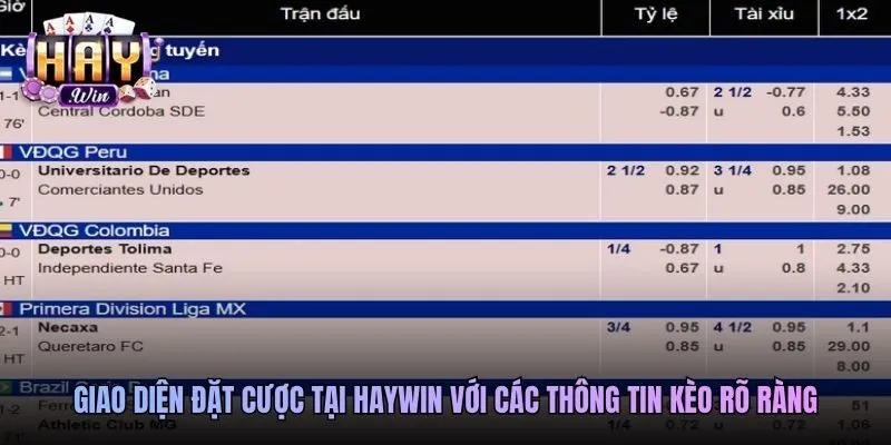Giao diện đặt cược tại Haywin với các thông tin kèo rõ ràng