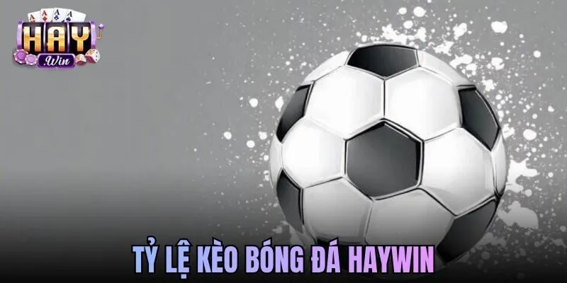 Tỷ Lệ Kèo Bóng Đá Haywin Và Cách Tính Chuẩn Xác 2026
